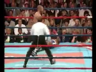 roy jones jr (super kos & punches)